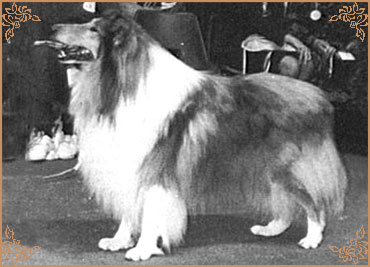 Emryks Runnaway, Crufts Winners