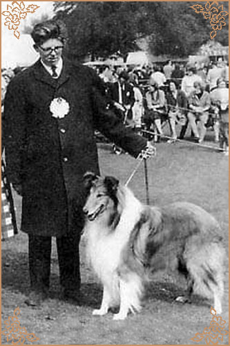 Glenmist Golden Legacy, Crufts Winners