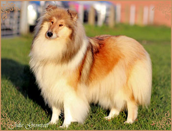 Hazelnut des Vergers de Iacchos