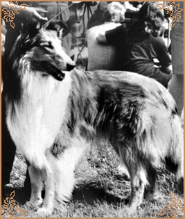 Highness z Gatebeckparku