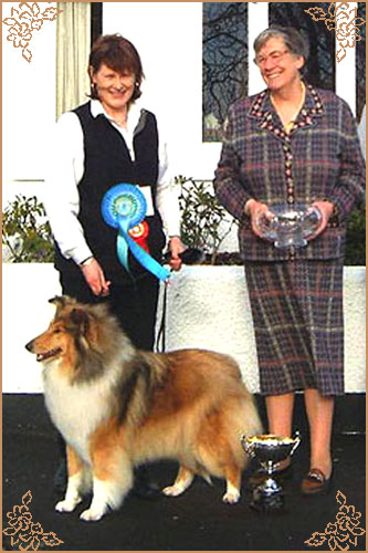 Ingledene Late Night Love, Crufts Winners