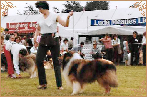 Jeffield Esquire, Crufts Winners