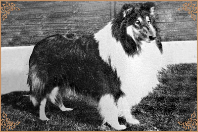 Jefsfire Clean Sweep Jefsfire Clean Sweep, Crufts Winners