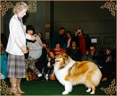 Jefsfire Francheska, Crufts Winners