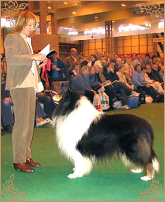 Karava Kempez