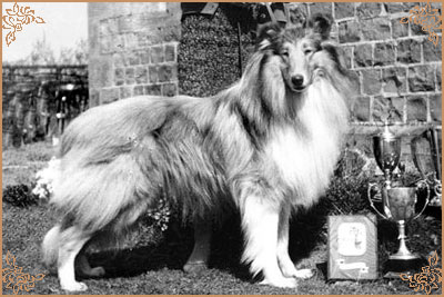 King of Kinreen