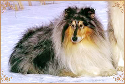 Kourika Blue Kascade