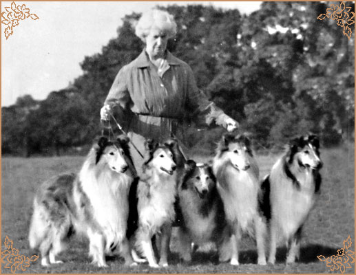 Lochinvar of Ladypark