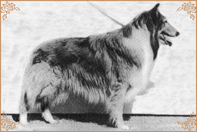 Лиит Лин, Leet-Lin