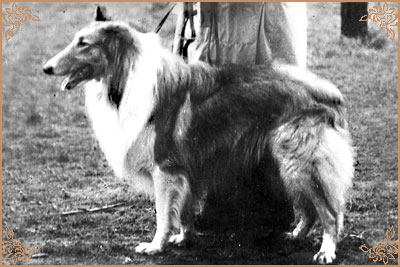 Лиит Лин, Leet-Lin