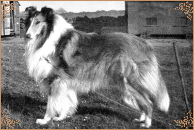 Lochinvar of Ladypark, Crufts Winners