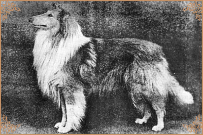Lochinvar of Ladypark, Crufts Winners