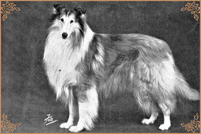 Lochinvar of Ladypark, Crufts Winners