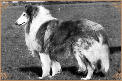 Lochinvar of Ladypark, Crufts Winners