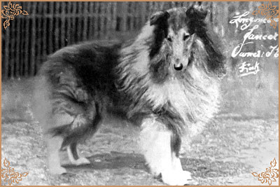 Longmeadow Lancer