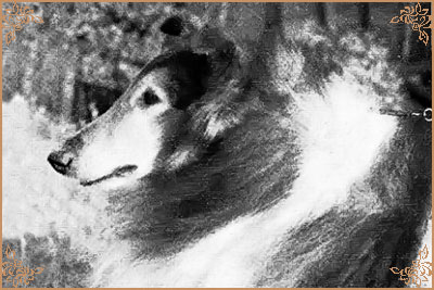 Longmeadow Lancer