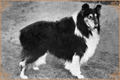 Lyncliffe Landseer