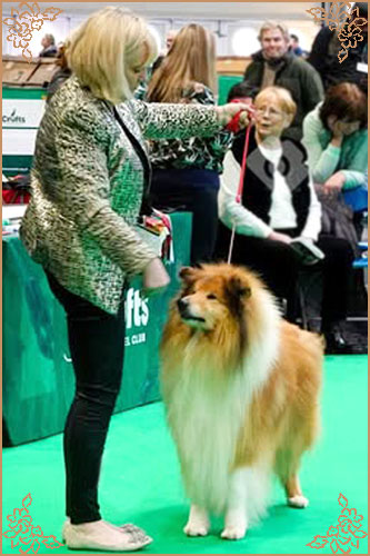 Magical Moon of Lowlands Green Valley for Chantique, Crufts Winners