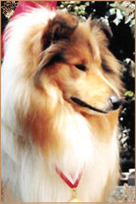 Matai What`s That
