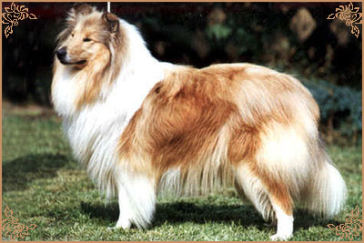 Matai What`s That
