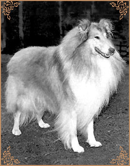 Melzar`s Marvin of Dunsinane