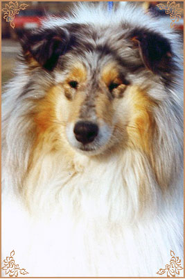 Мисс Хэвонли, Miss Heavenly