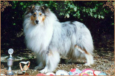 Мисс Хэвонли, Miss Heavenly