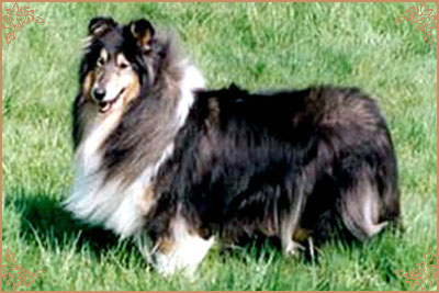 Mybern`s Myatara