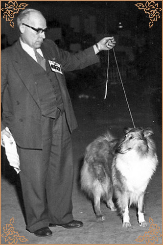 Mywicks Mylady Fair, Crufts Winners