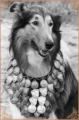 Норис-Бенно, Noris-Benno