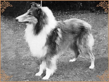 Pattingham Kismet