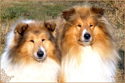 Prince Of Sunlight Simply The Best