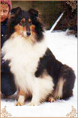 Reval Heidelind`s Black Hairyharta