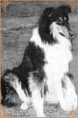 Riffelsee Royalist