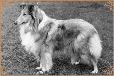Rosalie of Rokeby
