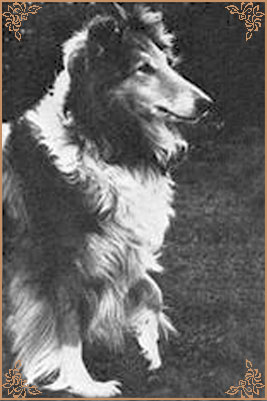Rosalie of Rokeby