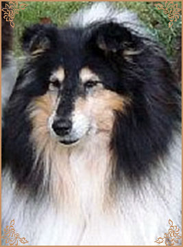 Rosegarden`s Randy Sandy