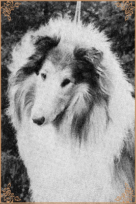 Royalist of Rokeby