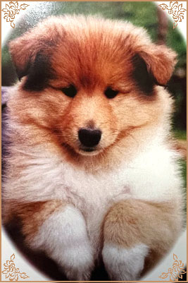 Samhaven Contradiction