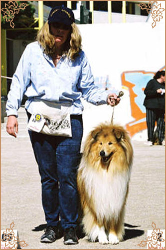 Samhaven Contradiction