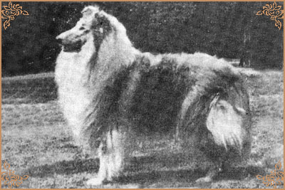 Sandiacre Sweet Lorraine