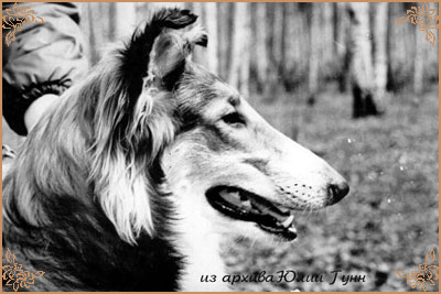 Сэй-Сибелла, Sey-Sibella