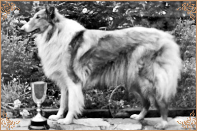 Sherry of Shencolne