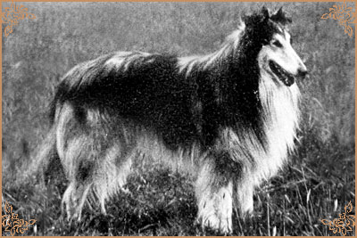 Silstar of Simbastar
