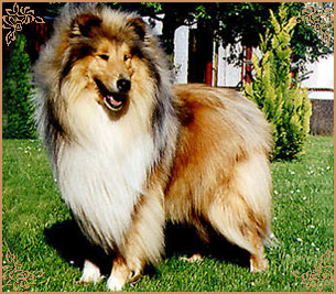 Sir Henry von Belvedere