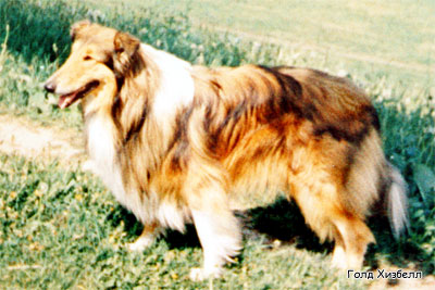 Саупен Гренджер, Soupen Granger