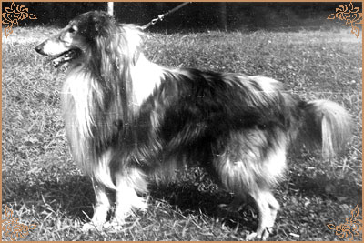 Саупен Гренджер, Soupen Granger
