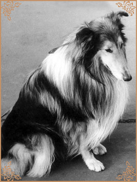 Саупен Гренджер, Soupen Granger