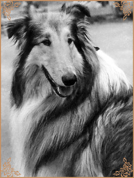 Саупен Гренджер, Soupen Granger