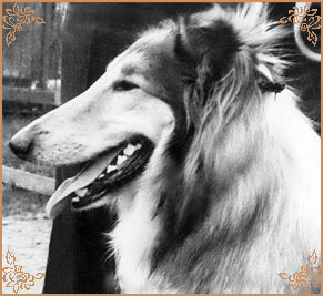 Саупен Гренджер, Soupen Granger